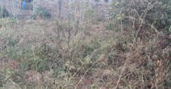 Prime plot for sale at Mugutha, Ruiru