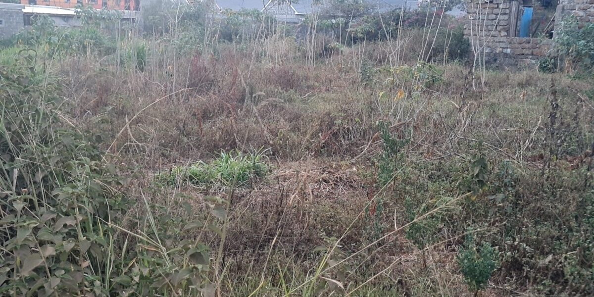 Prime plot for sale at Mugutha, Ruiru