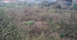 Prime plot for sale at Mugutha, Ruiru