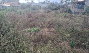 Prime plot for sale at Mugutha, Ruiru