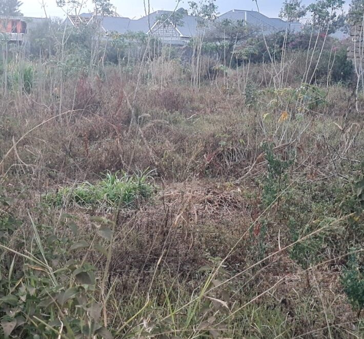Prime plot for sale at Mugutha, Ruiru