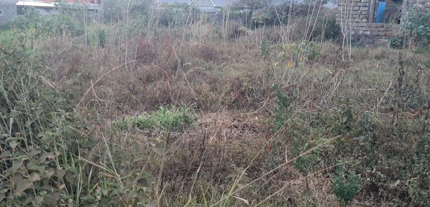 Prime plot for sale at Mugutha, Ruiru