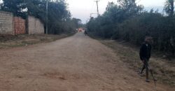 Prime plot for sale at Mugutha, Ruiru